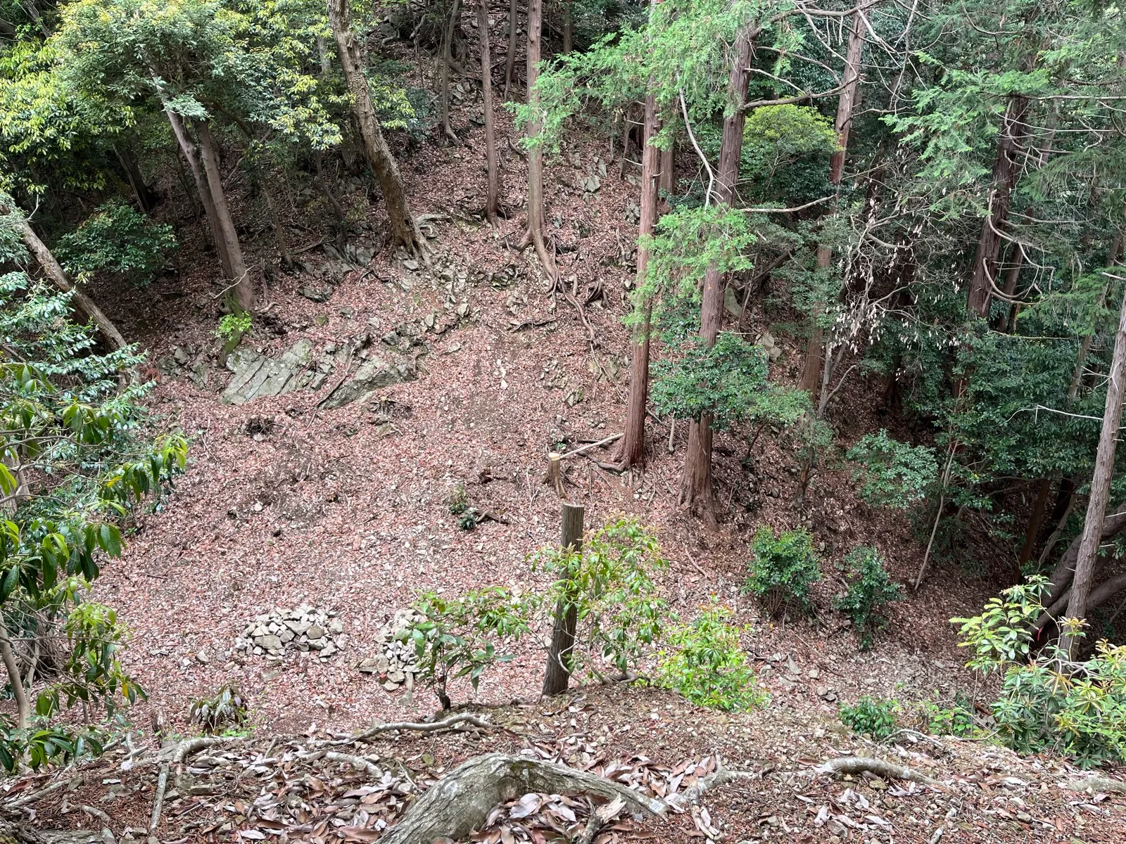 Looking down into a horikiri ditch cut across the ridge below Taiko-kuruwa